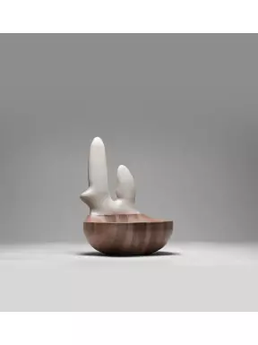 Galerie Brazil Moderniste